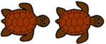 turtles